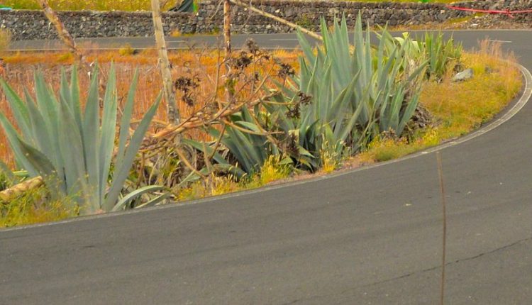 35076699_827522264265914_2377840800126992384_o