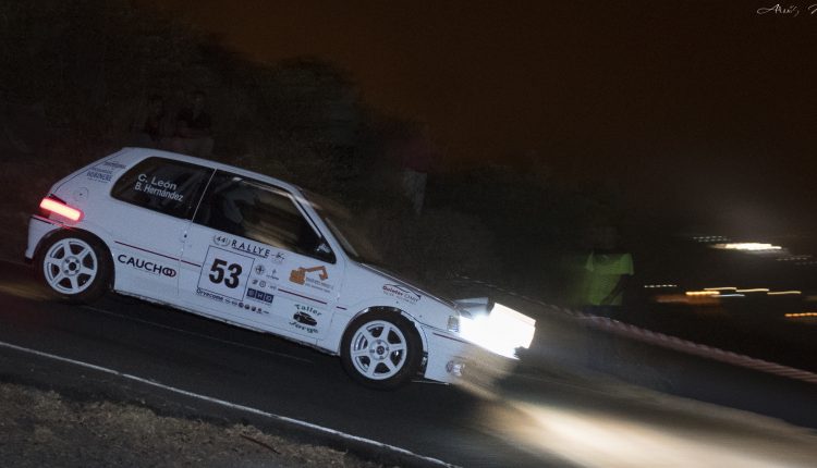 leoncito_43995688324_o