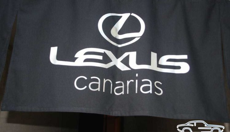 IMG_3533Sergio Betancort Bonilla