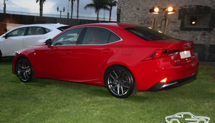 IMG_3535Sergio Betancort Bonilla