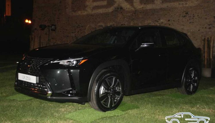 IMG_3558Sergio Betancort Bonilla