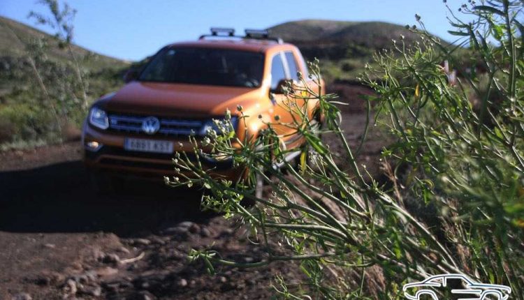 IMG_3650Sergio Betancort Bonilla