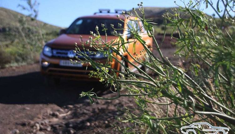 IMG_3651Sergio Betancort Bonilla