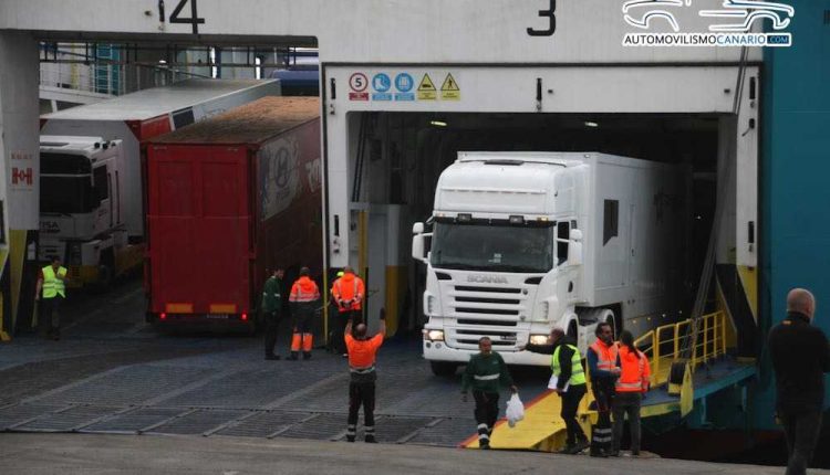 IMG_4582Sergio Betancort Bonilla