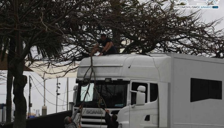 IMG_4731Sergio Betancort Bonilla