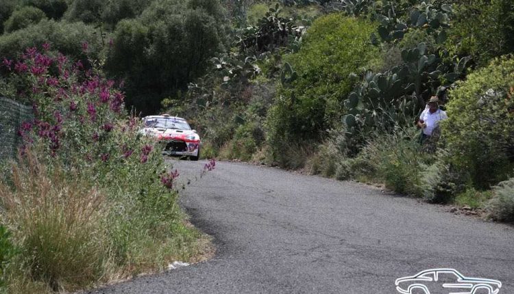 IMG_6359Sergio Betancort Bonilla