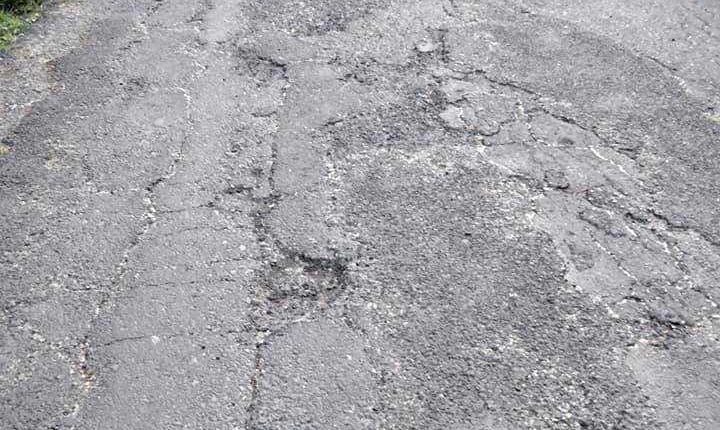 167519237_4462162020478930_2041057684317113040_n