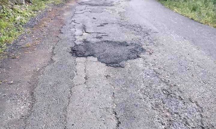 170233176_4462161850478947_2565190624493155951_n