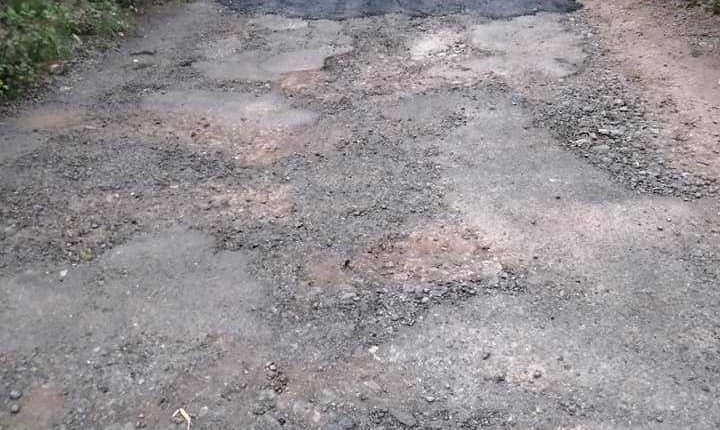 170342030_4462162340478898_3554238467782056087_n