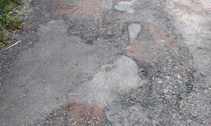 170451214_4462161717145627_3338779460205367685_n