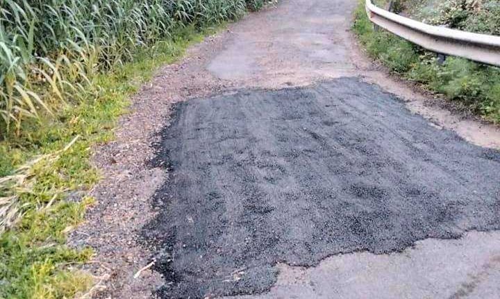 170472098_4462162767145522_2559785525898865425_n